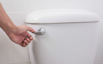 toilet won't flush